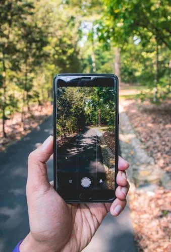 Hand holding a phone to photograph a tree-lined path
